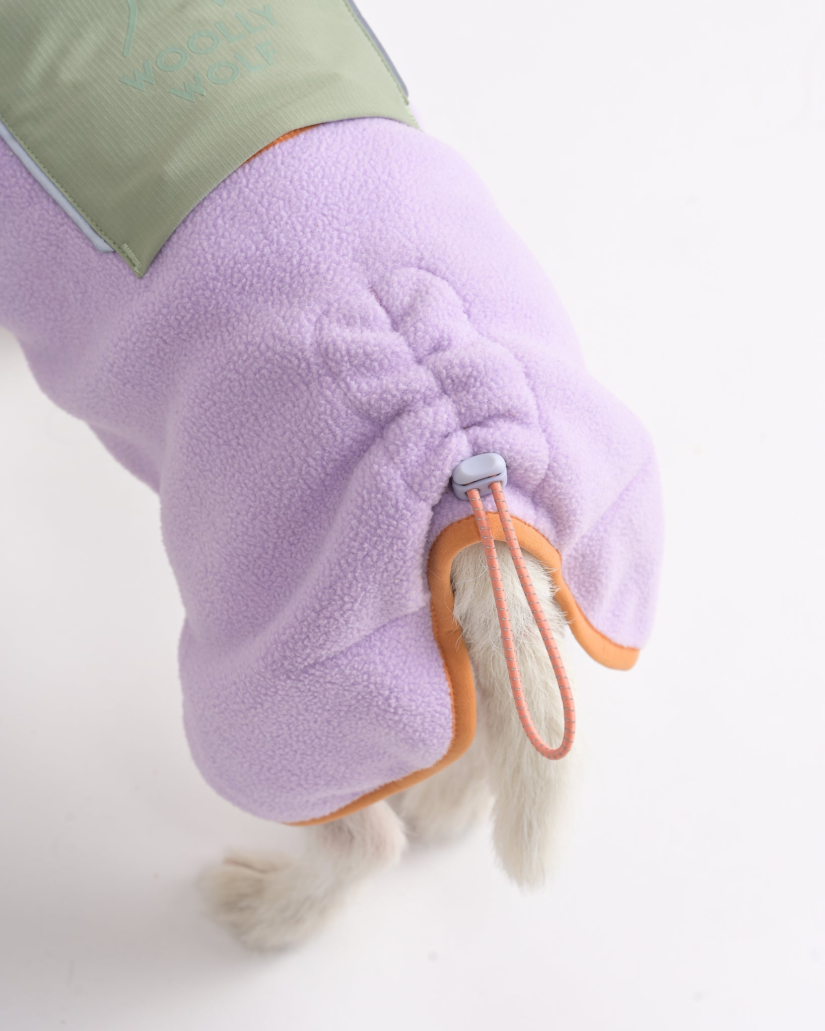 Purple pet coat with green lining on a white background