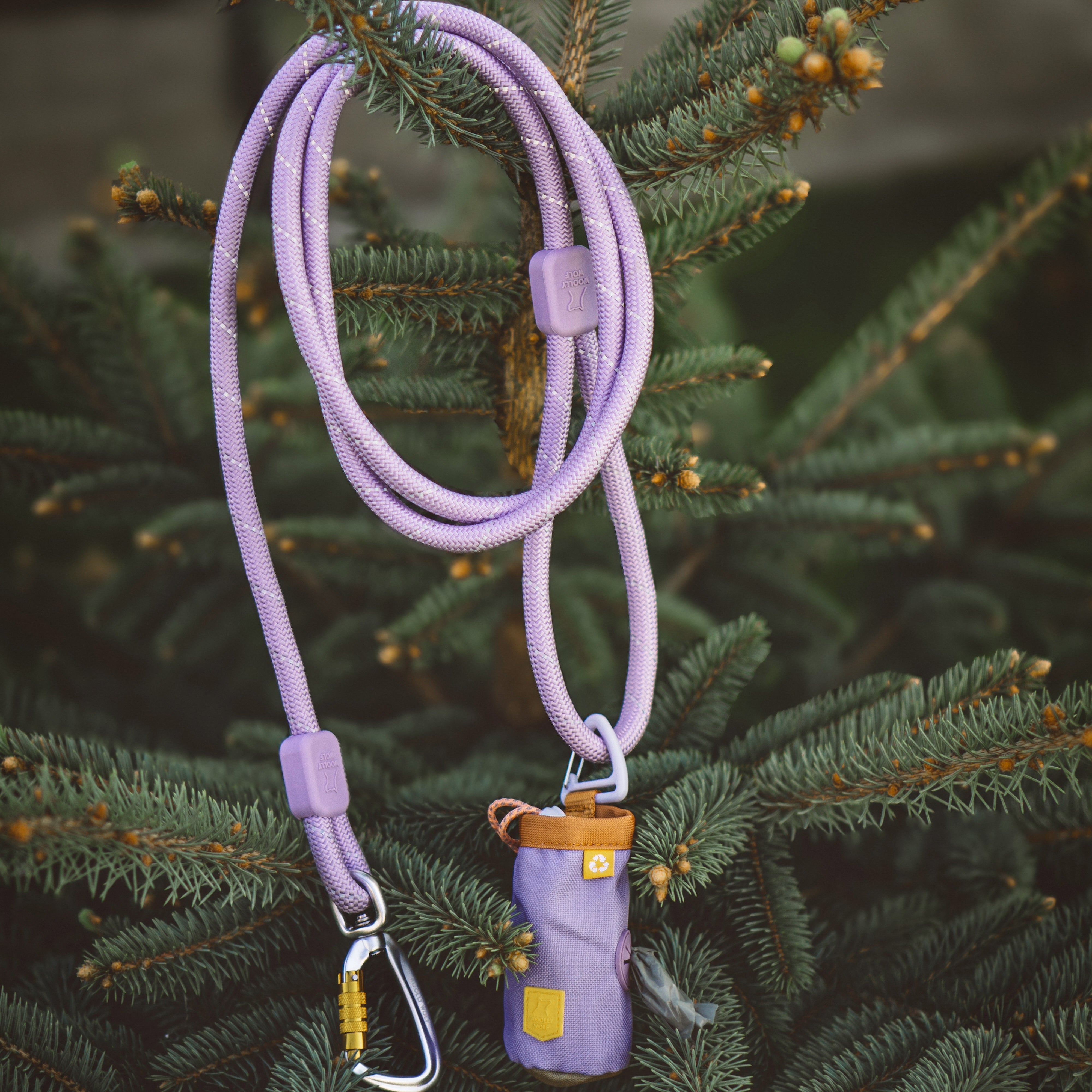 A purple rope leash with a pouch and carabiner hanging on a green pine tree branch.