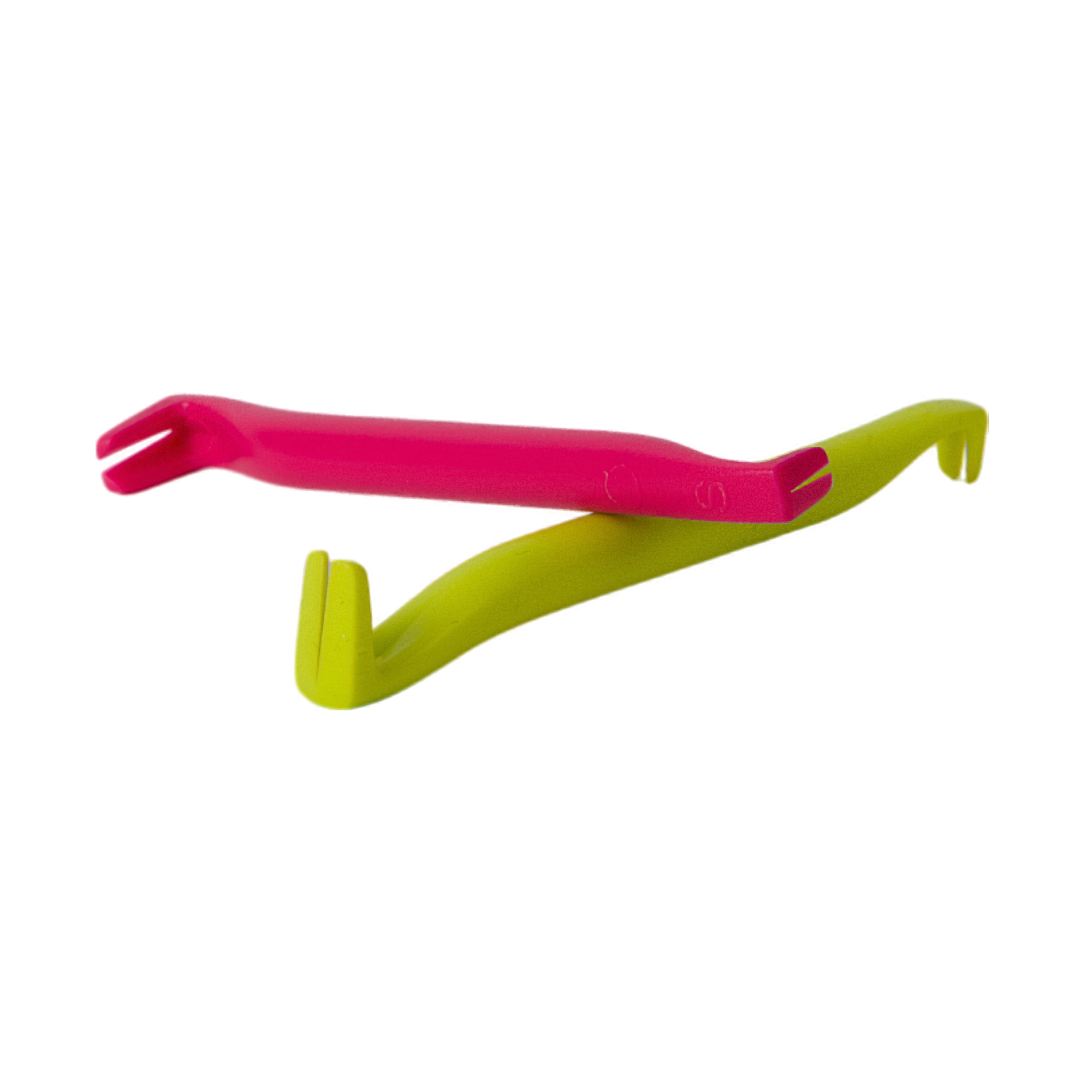 Tick Lizard Lime and Pink