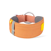 The Alpha 360 Dog Collar Golden Hour features a wide orange fabric, reflective gray stripe, yellow tag, large silver metal ring, and padded inner lining for comfort.