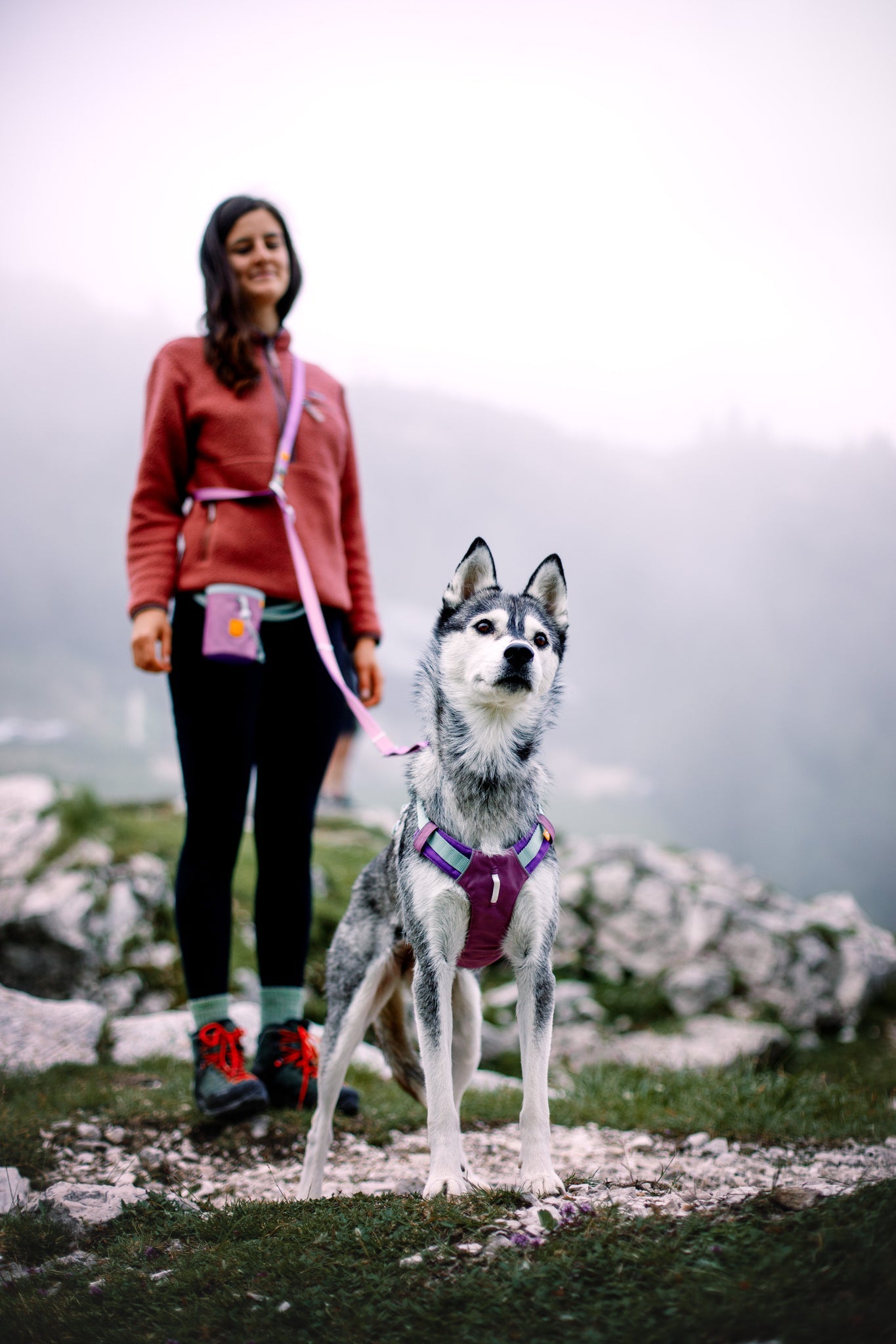 A woman on a misty, rocky trail holds the leash of a gray and white husky in an Alpha 360 Dog Harness Mauve Mix. The dog stands alert in the foreground, with blurred mountains in the background.