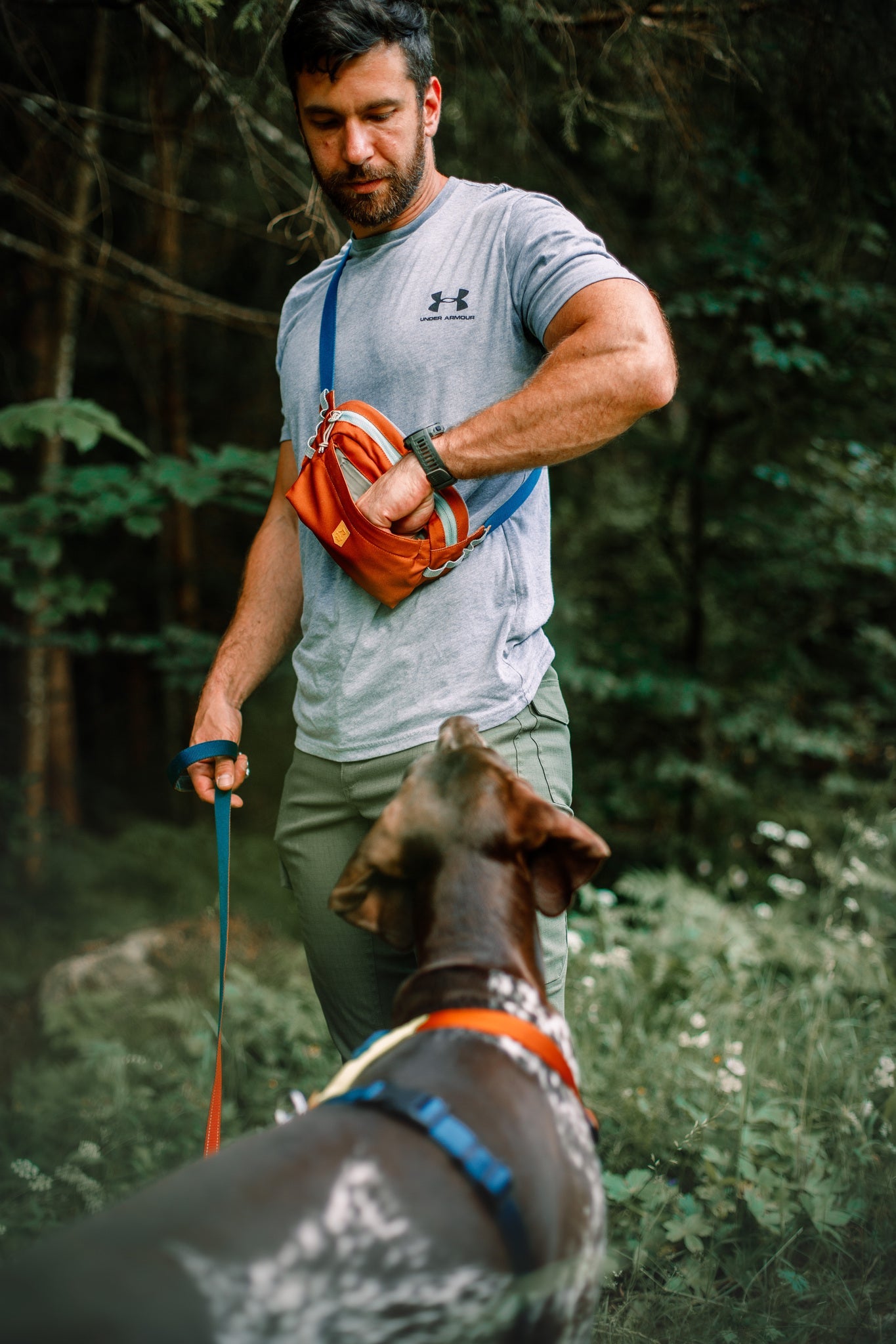 A man in a gray T-shirt opens the Alpha 360 Hip Pack Terracotta Mix while holding a leash, standing outdoors in a forest as his large dog looks up at him.