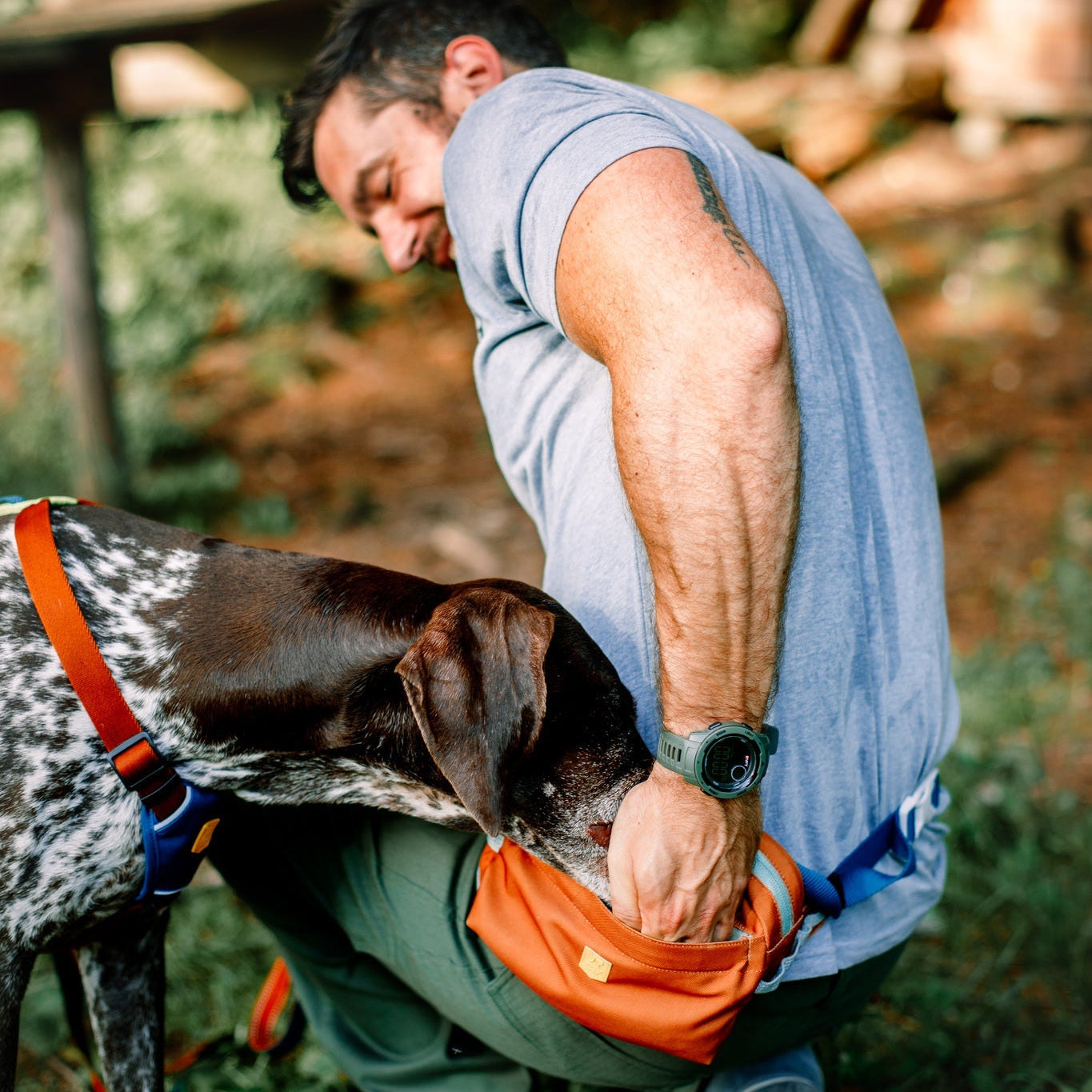 A man kneels outdoors, reaching into his Alpha 360 Hip Pack Terracotta Mix, while a brown and white dog with a red harness sniffs inside. Sunlight filters through the surrounding trees.