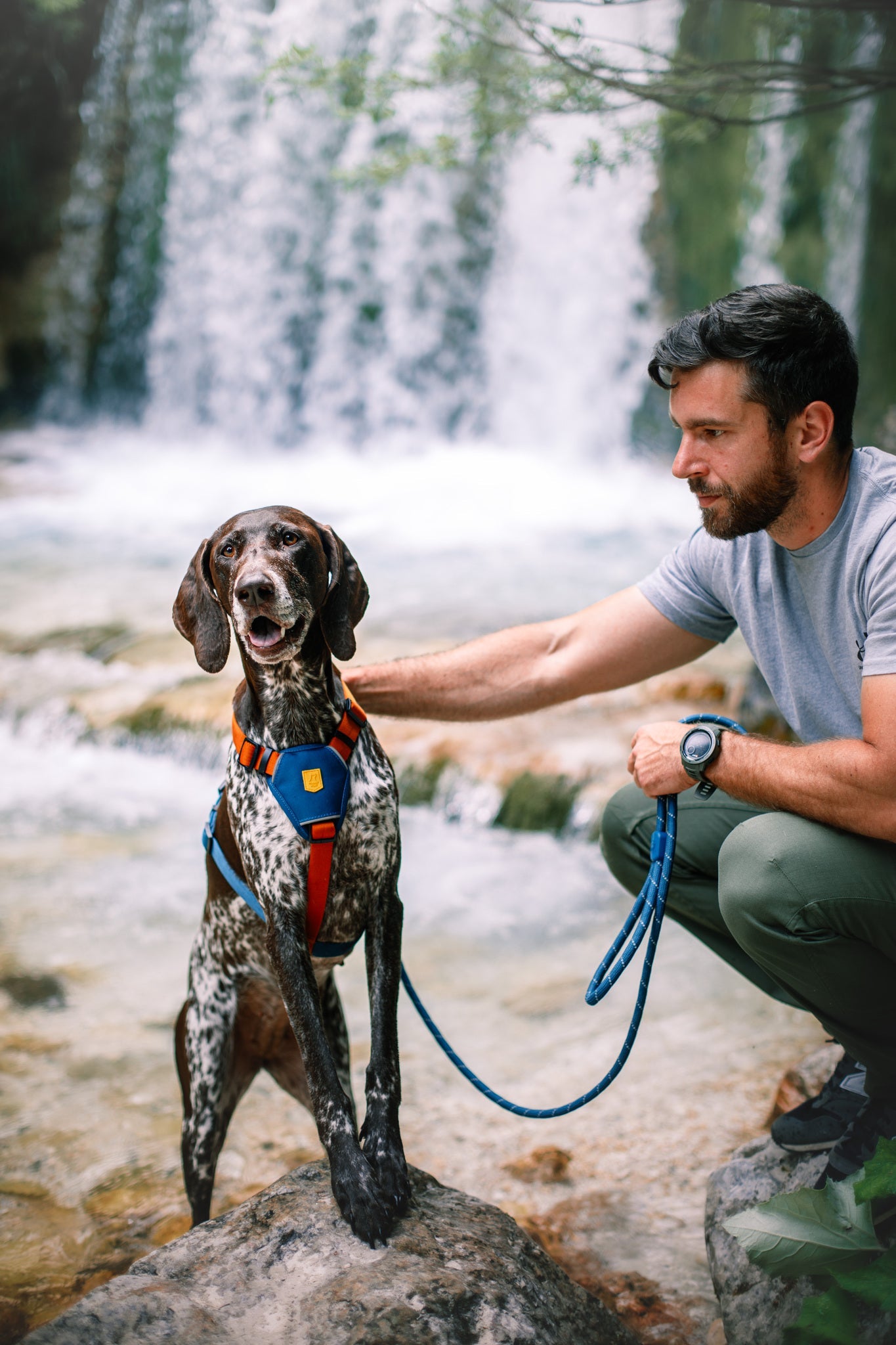 A man kneels next to a spotted dog wearing the Color Block Dog Harness Lime Mix and leash by a waterfall. He gently holds the dog as they enjoy time outdoors near water and rocks.