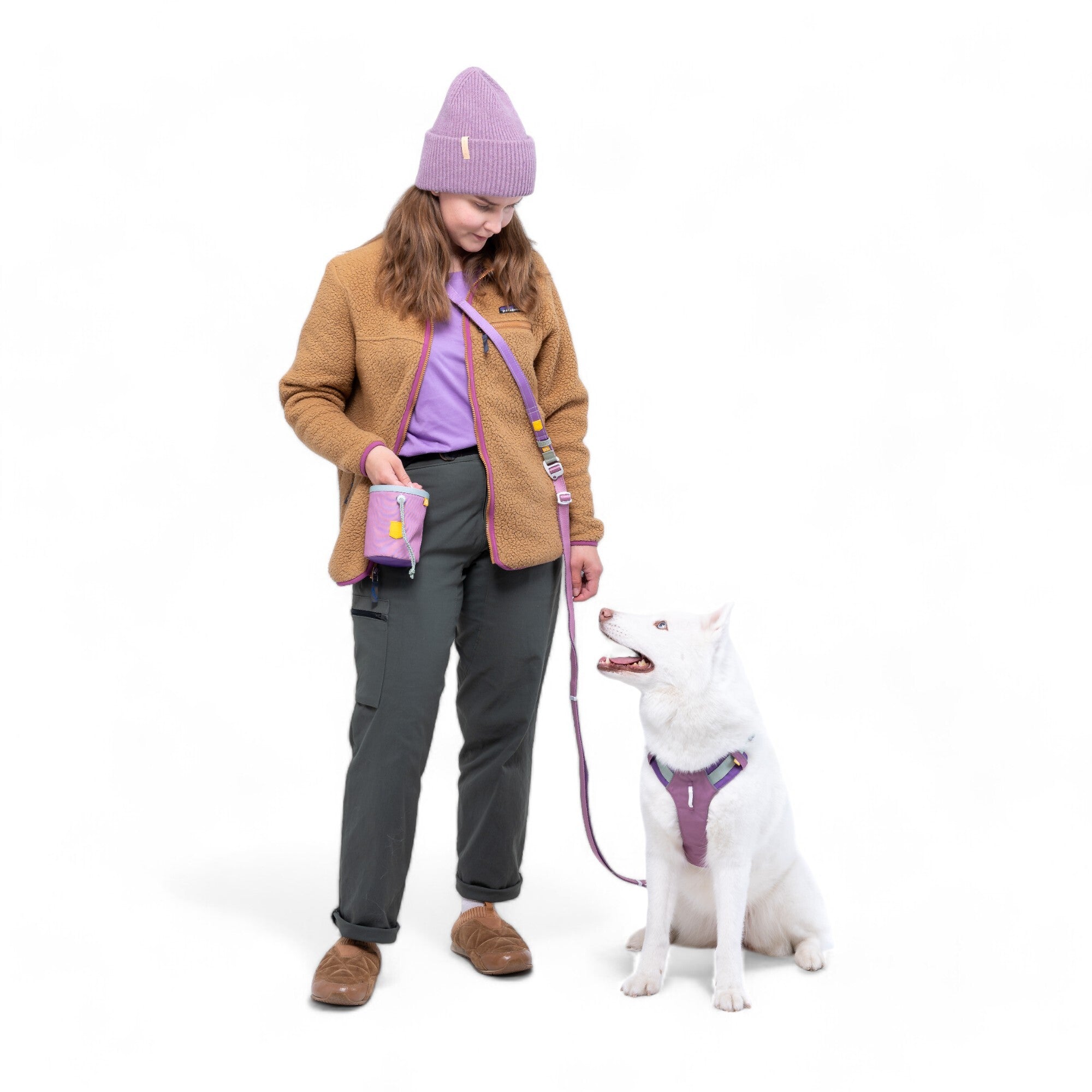 A woman in a tan jacket, purple shirt, and lavender beanie holds the Color Block Multi-Use Dog Leash Mauve Mix attached to her white dog in a purple harness. They face each other against a white background.