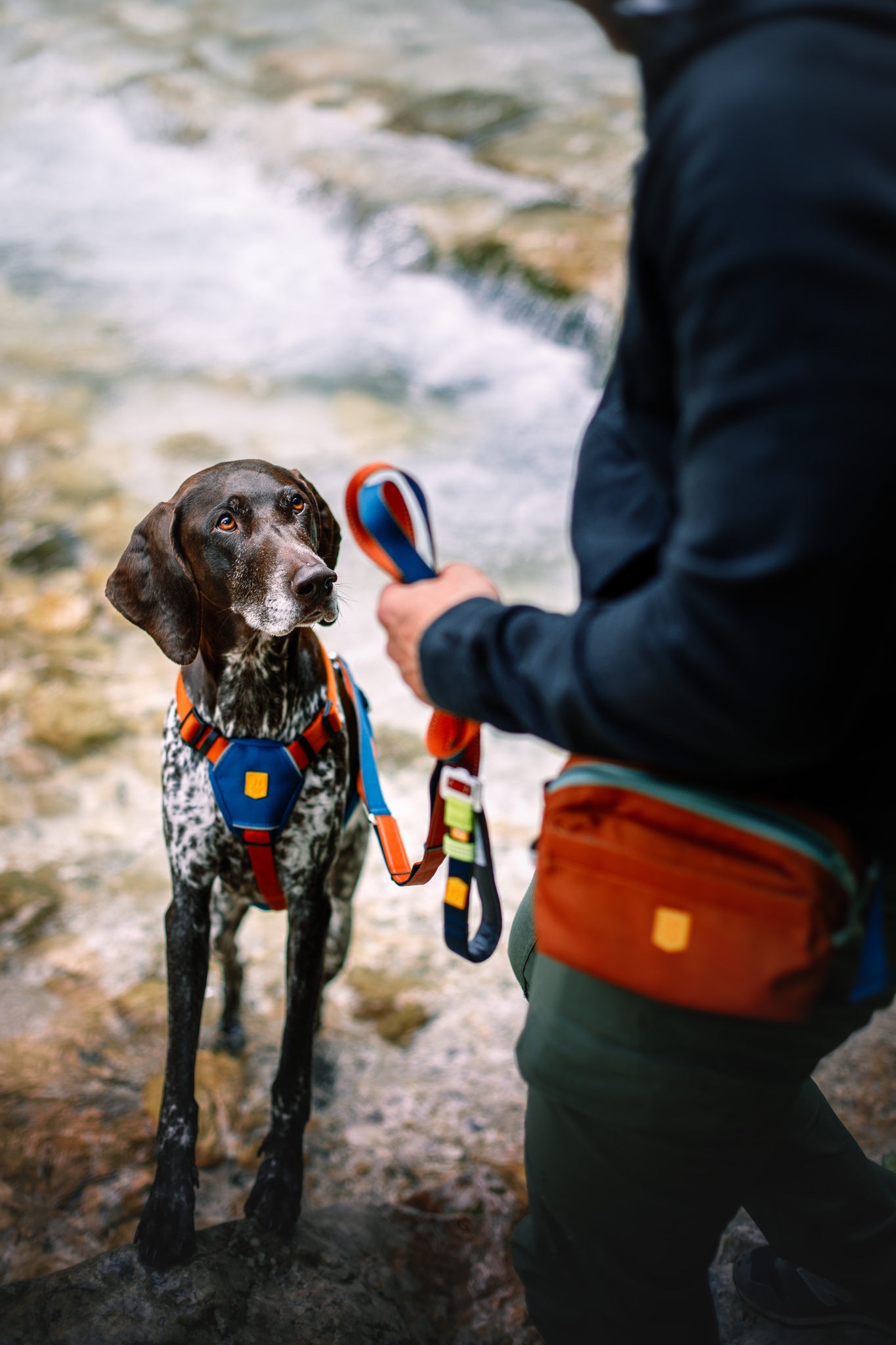 Color Block Multi - use Leash Terracotta Mix -
