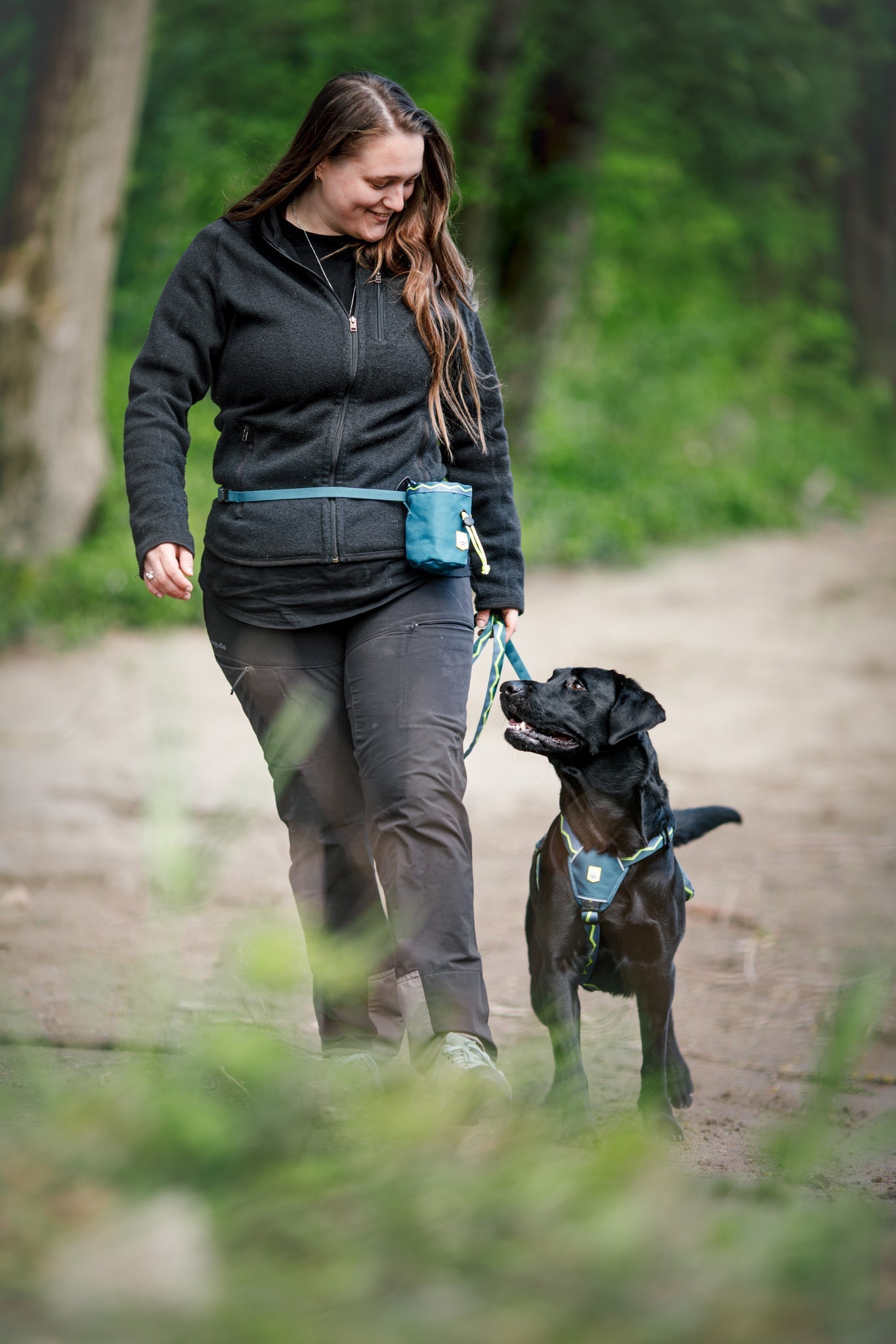 Horizon Dog Leash