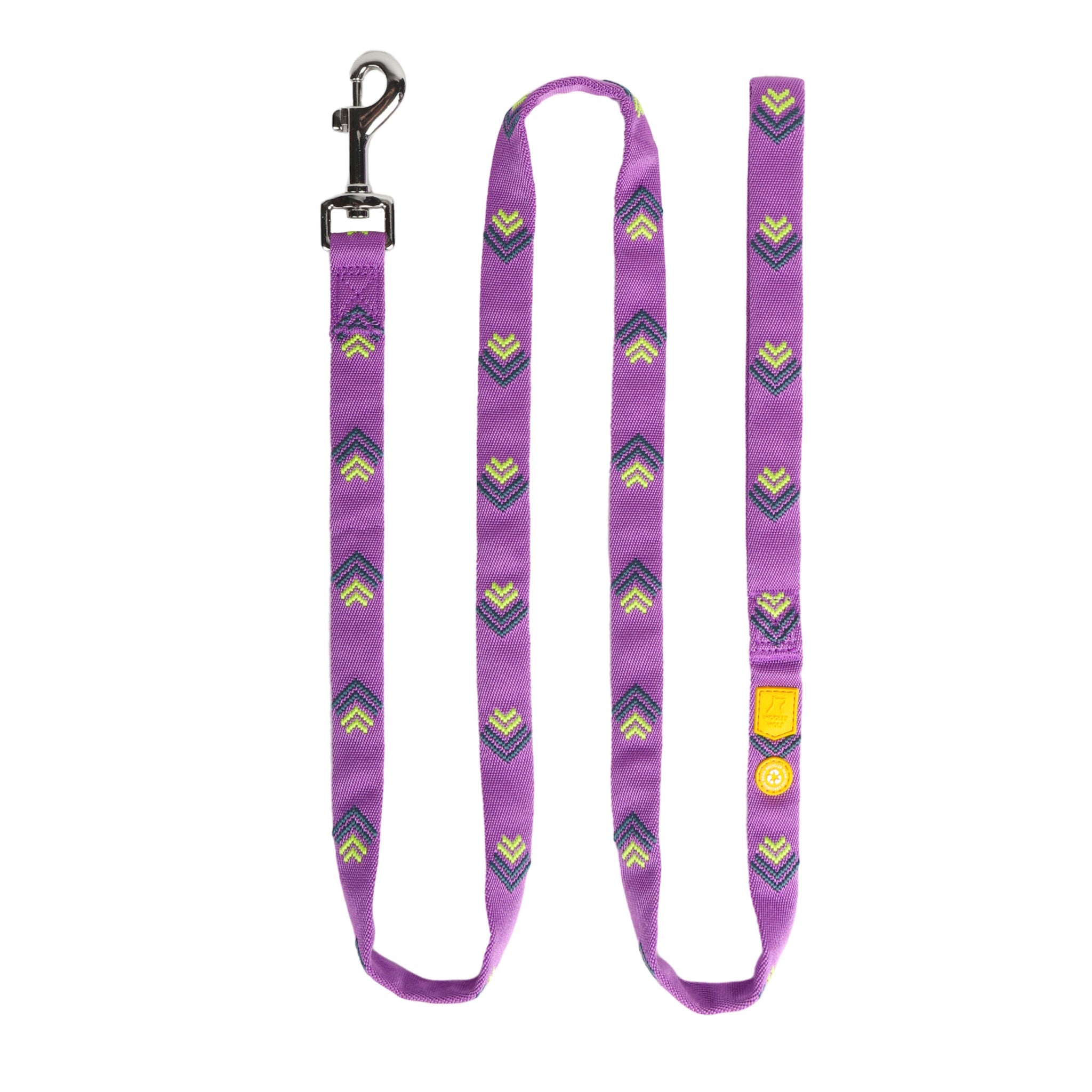 Northern Lights Leash -