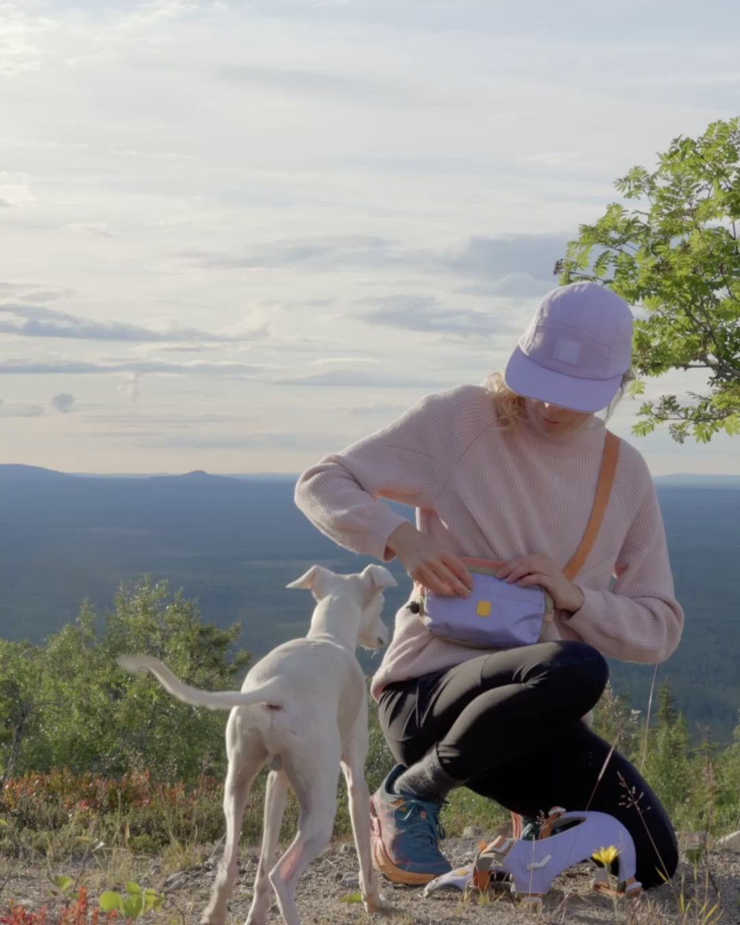 Load video: Alpha 360 Dog Harness Lavender