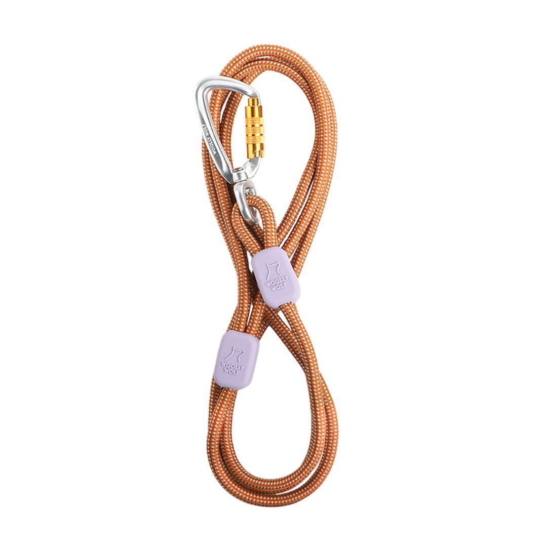 The Rope Dog Leash Thin Terracotta features an orange braided design with two purple stoppers and a silver locking carabiner, displayed on a white background.