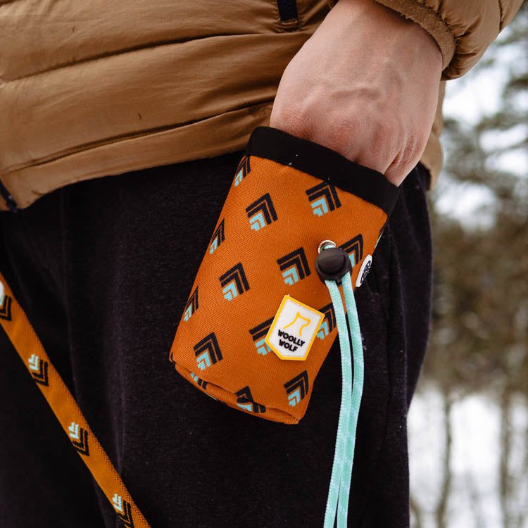 Sea to Summit Snack Bag -
