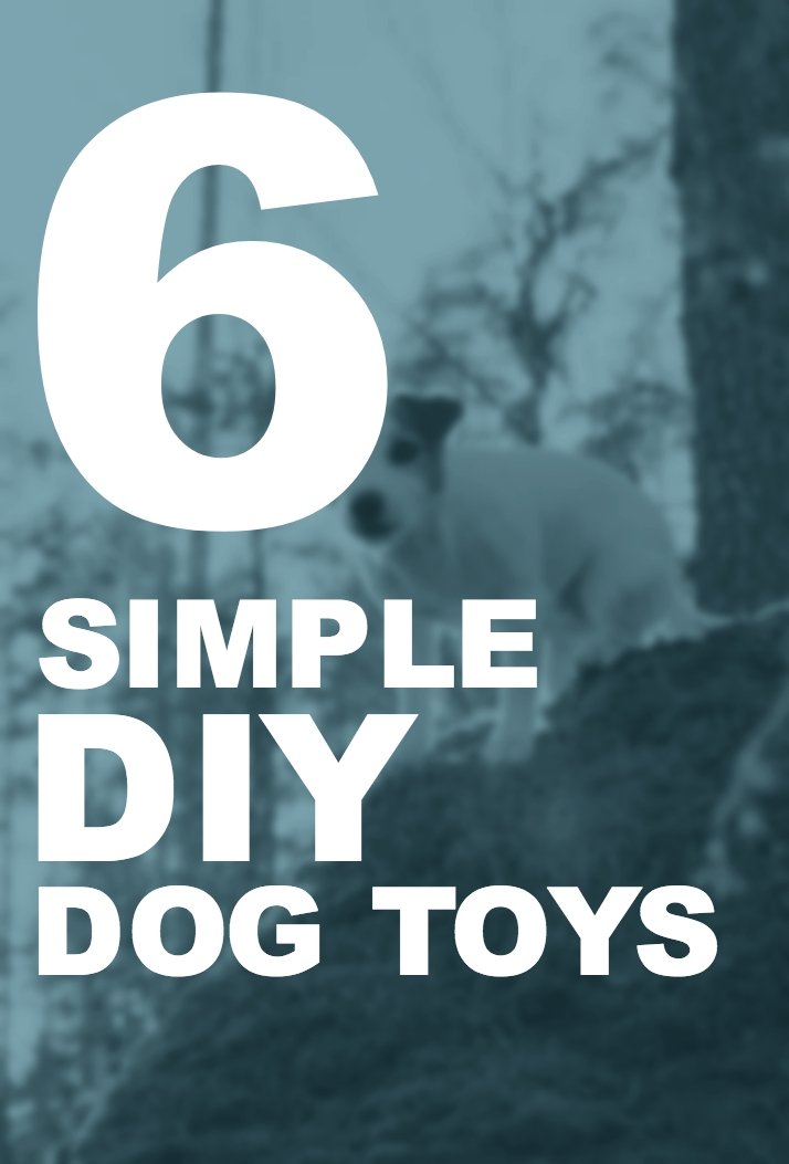 6 Simple DIY Dog Toys - Woolly Wolf