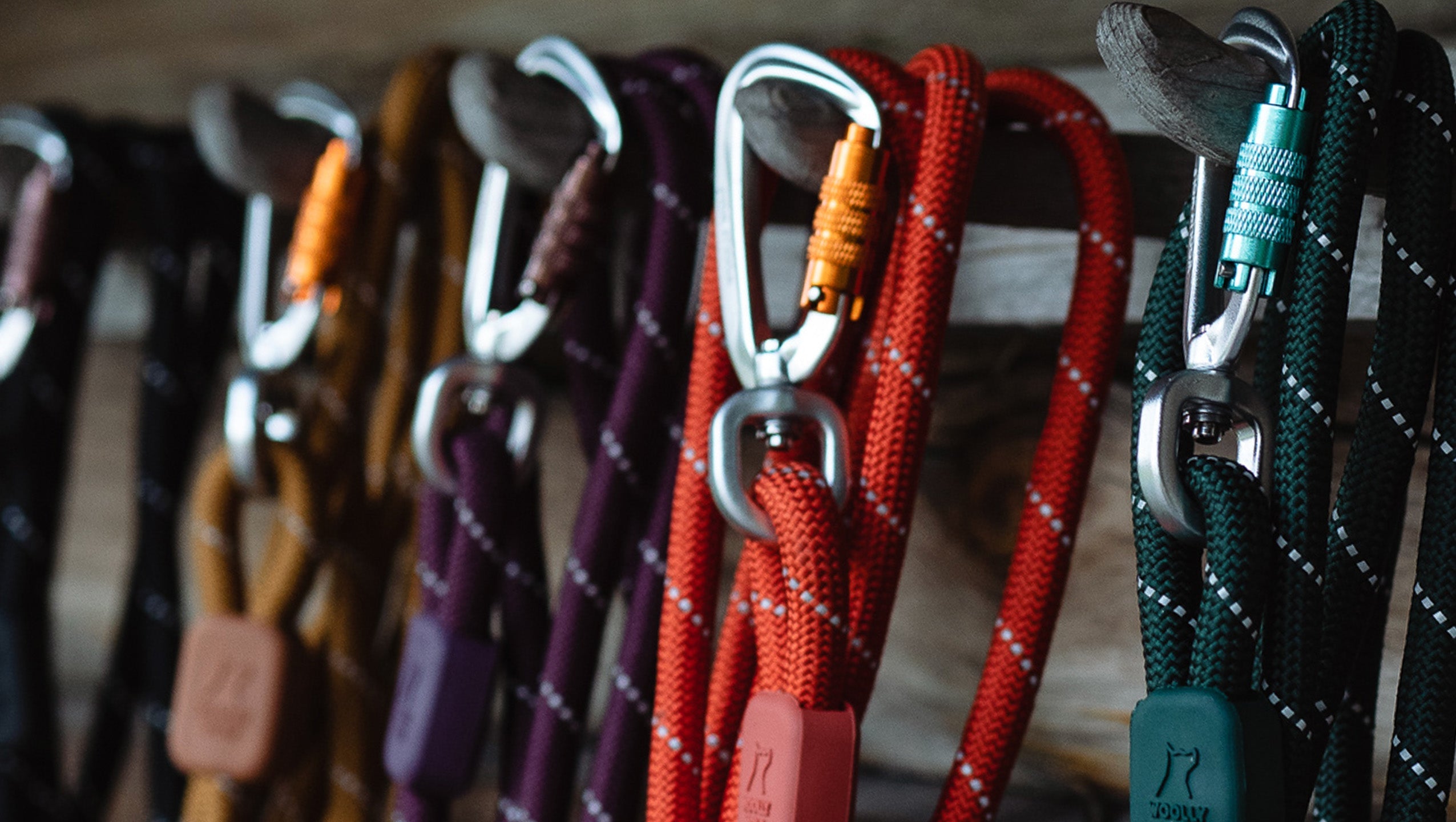 Recycled Rope Leashes