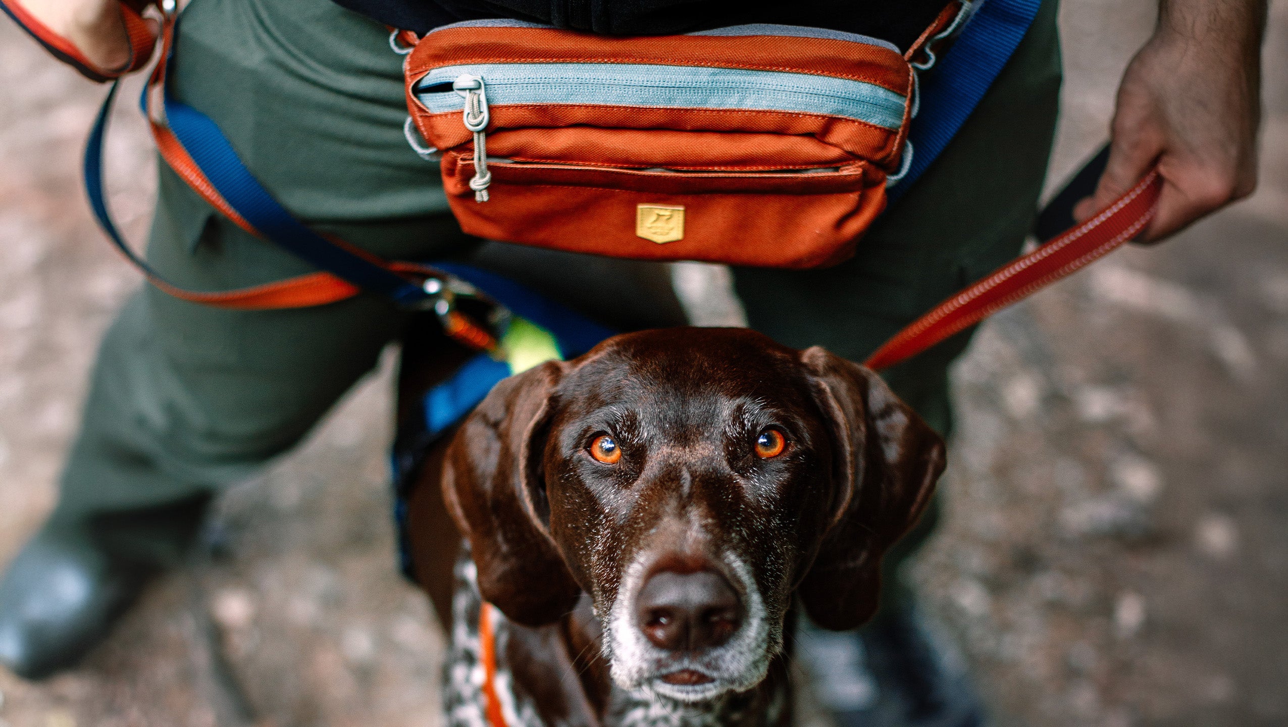 Hip Packs