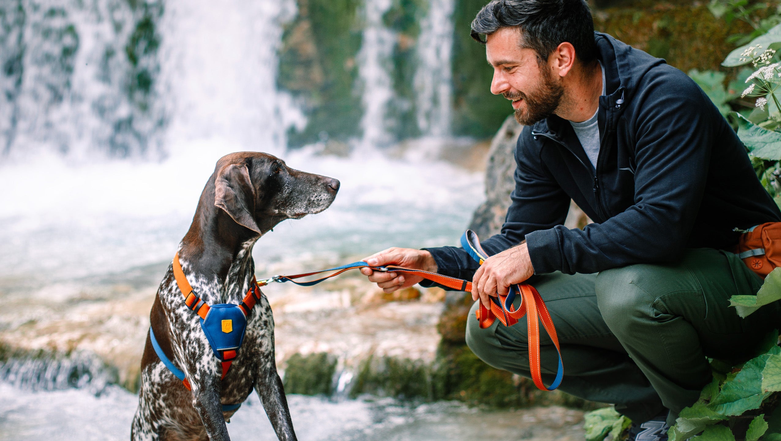 Long Dog Leashes - Woolly Wolf