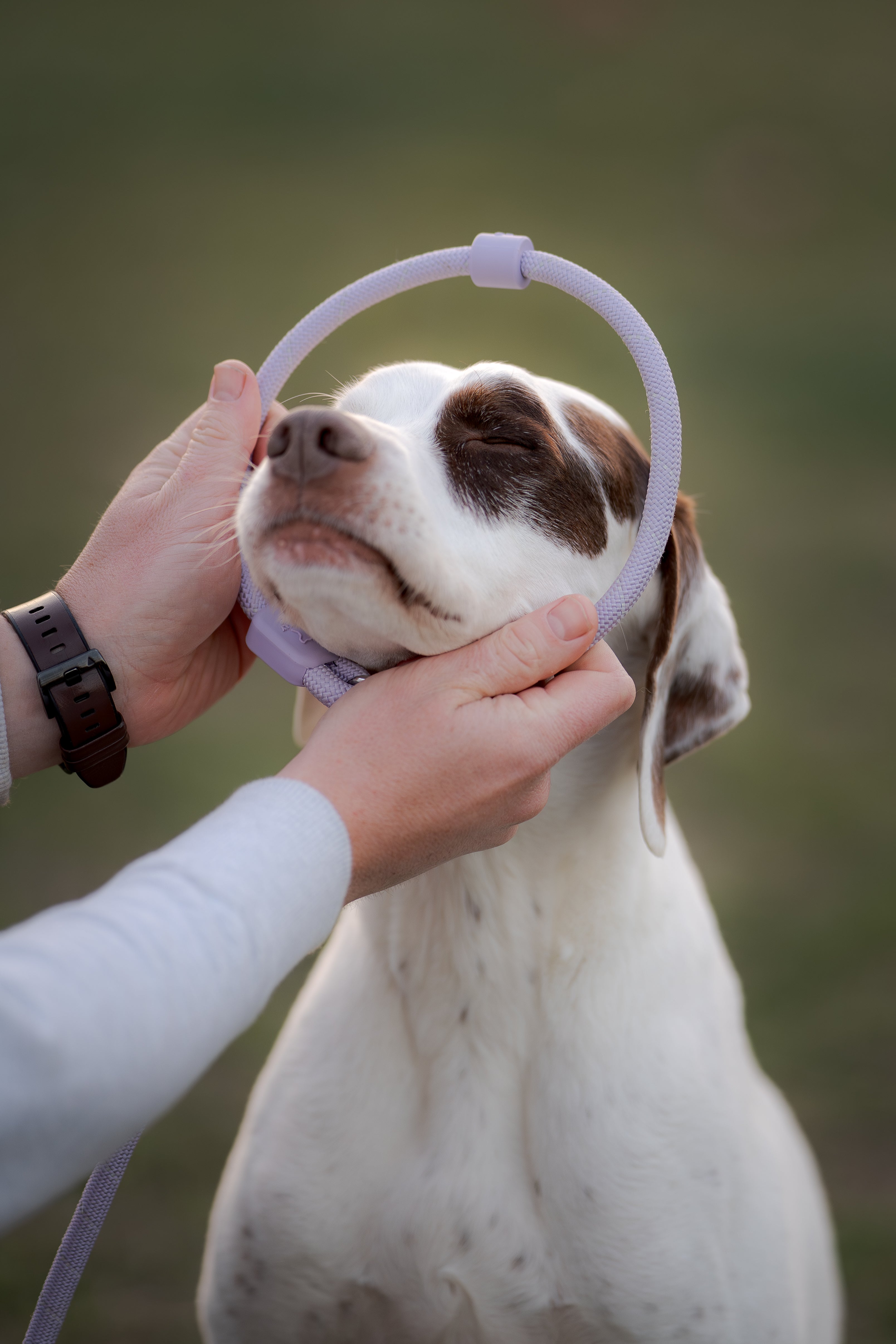 Rope Dog Leashes - Woolly Wolf