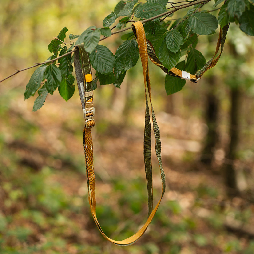 A green and yellow adjustable dog leash hanging from a tree branch.