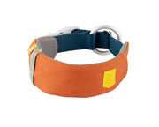 An orange and gray dog collar with a padded section, a sturdy blue strap, a metal ring, and a yellow tag. The collar appears comfortable and durable, designed for pets.