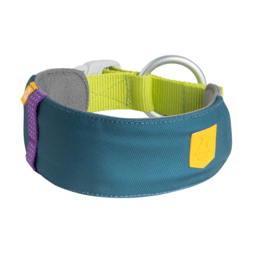 Blue and green dog collar with a silver ring, purple accent, and yellow patch on a white background.
