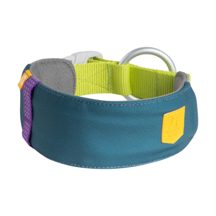 Blue and green dog collar with a silver ring, purple accent, and yellow patch on a white background.