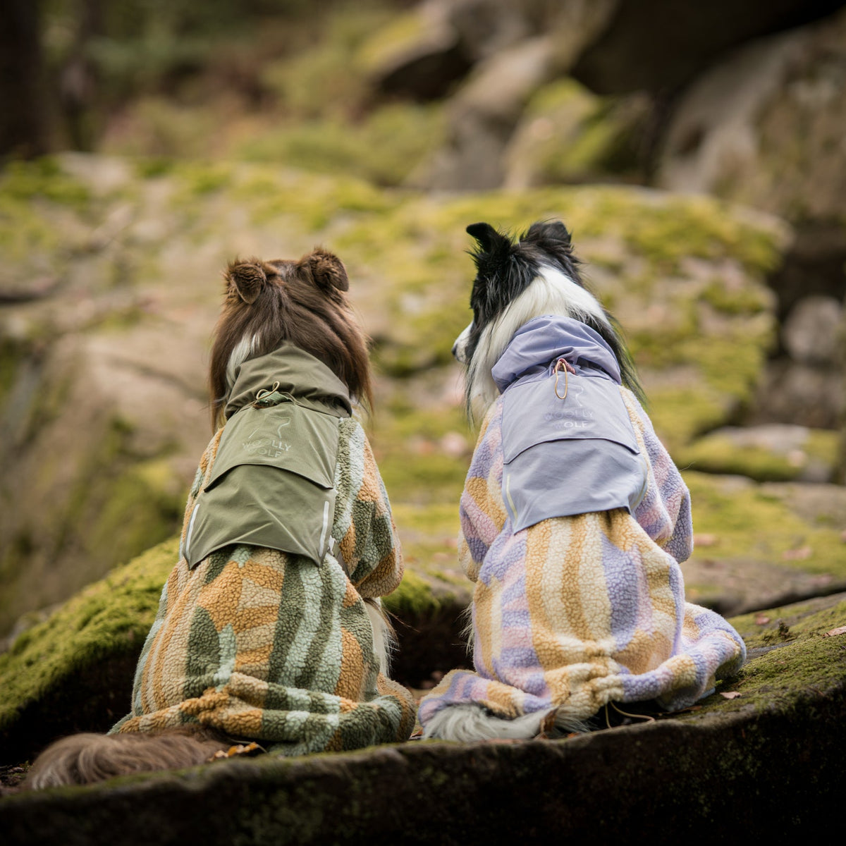 Two dogs in plaid jackets and backpacks sit on mossy rocks, facing away in a wooded area.