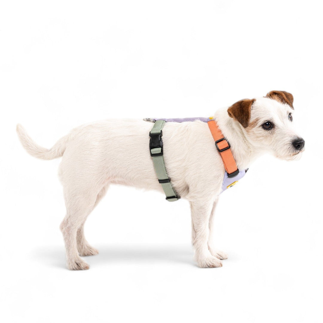 Color Block Harness Salmon Pink Mix