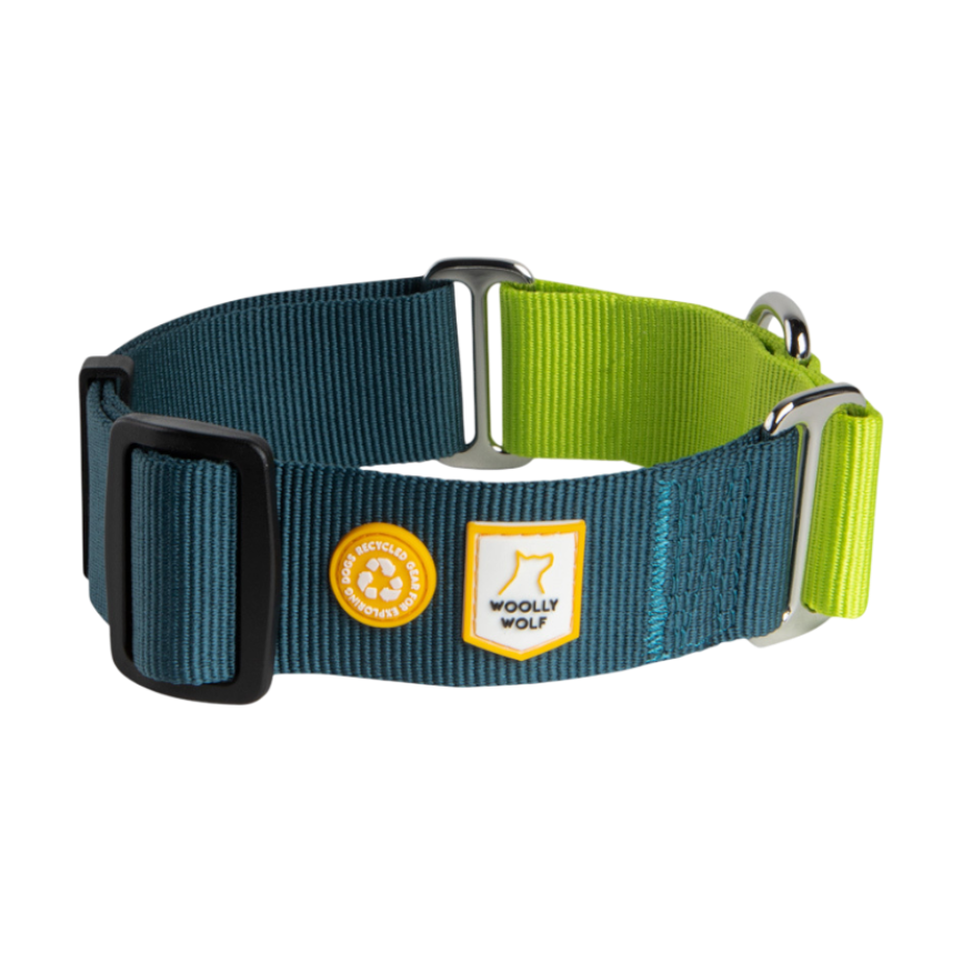 Blue and green adjustable dog collar with Woolly Wolf logo and recycled material badge on white background.