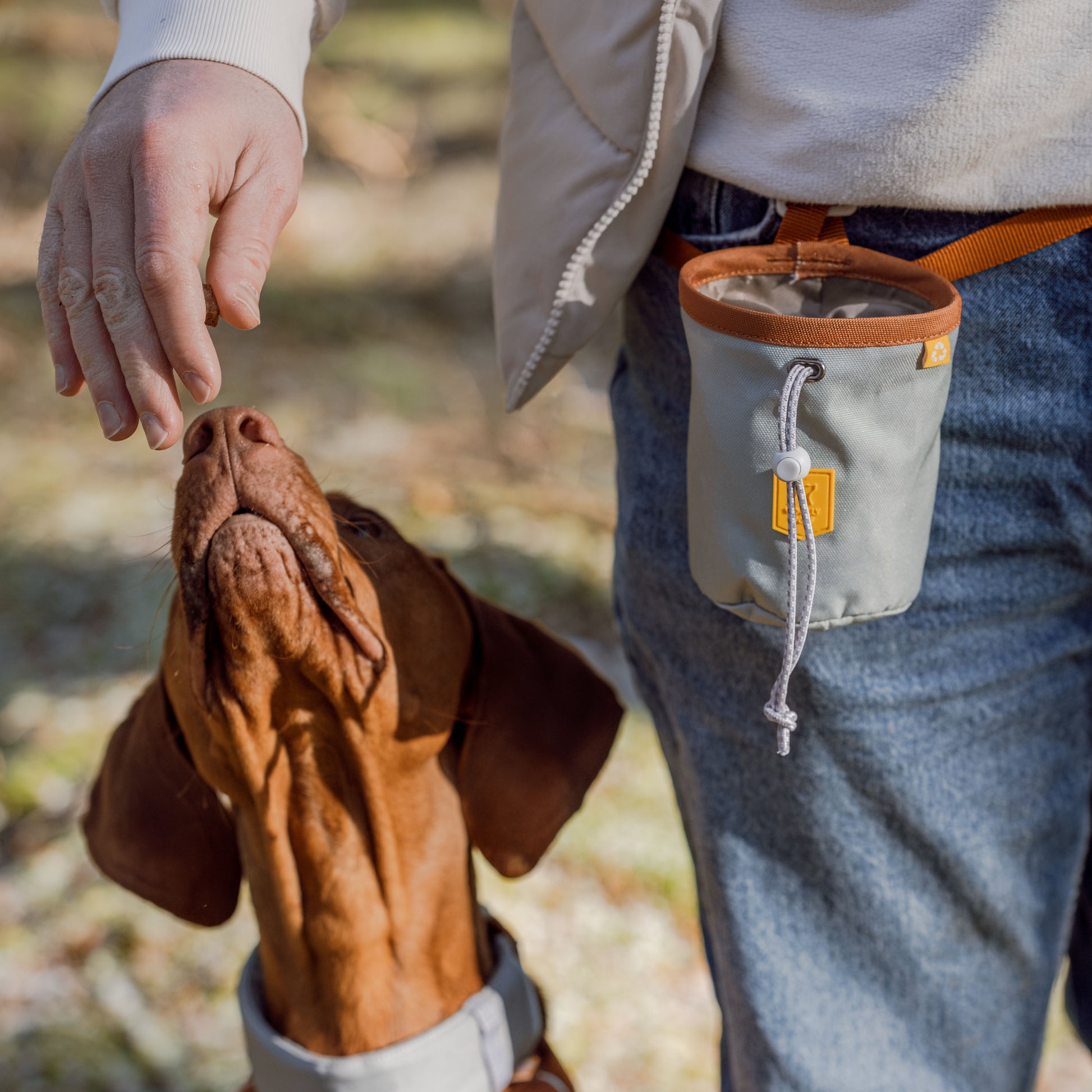 Person gives a treat to a brown dog outdoors; treat pouch hangs from the persons belt.