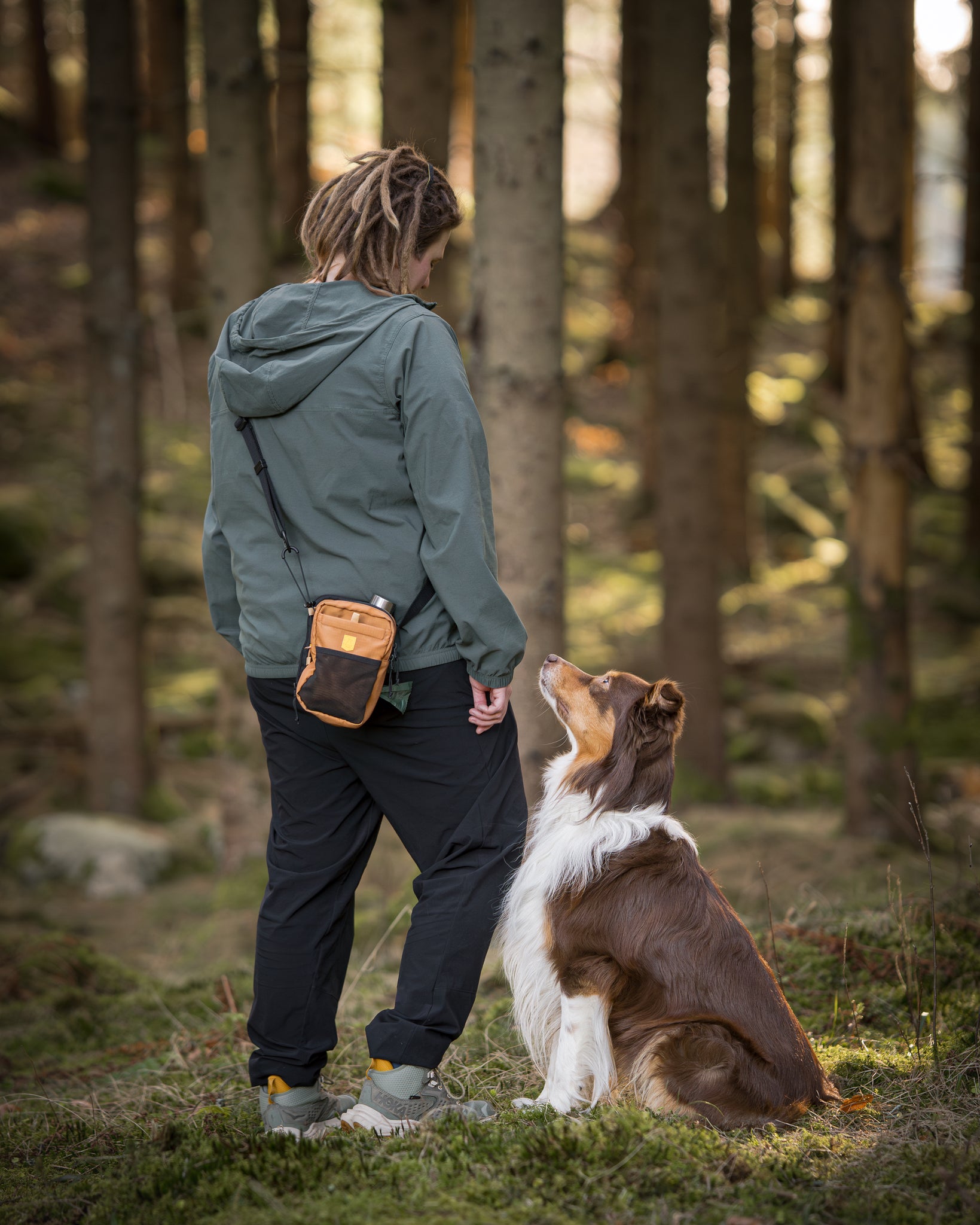 Person with a backpack stands in a forest, looking at a brown and white dog sitting and gazing up at them.