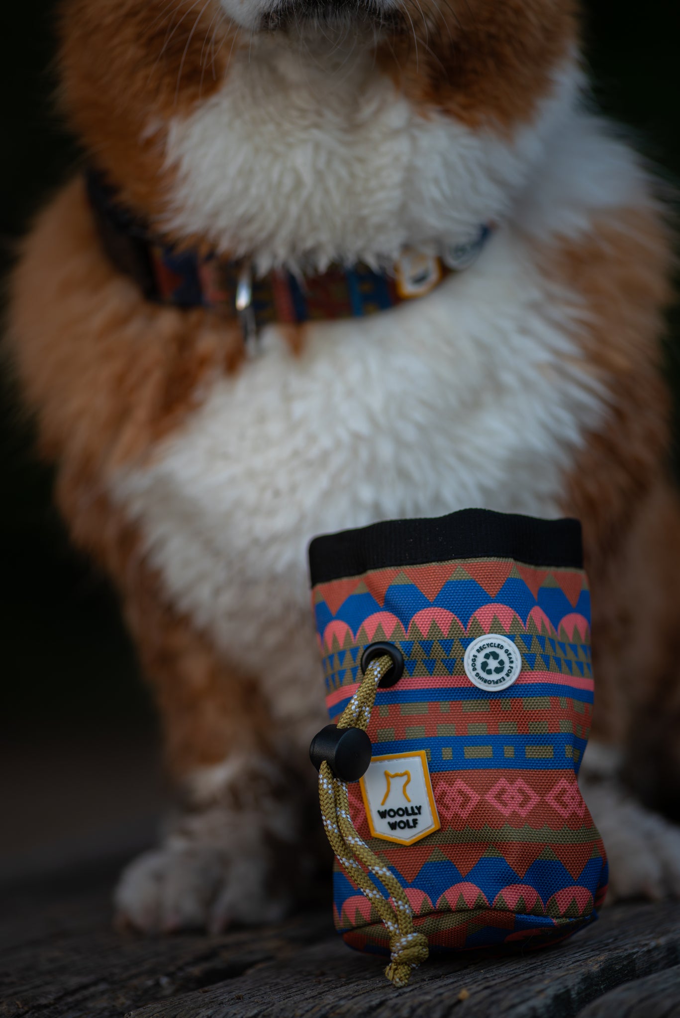 A close-up of a dog wearing a colorful patterned collar, sitting behind a matching patterned treat pouch with a Woolly Wolf label, placed on a wooden surface. The dogs face is not visible.
