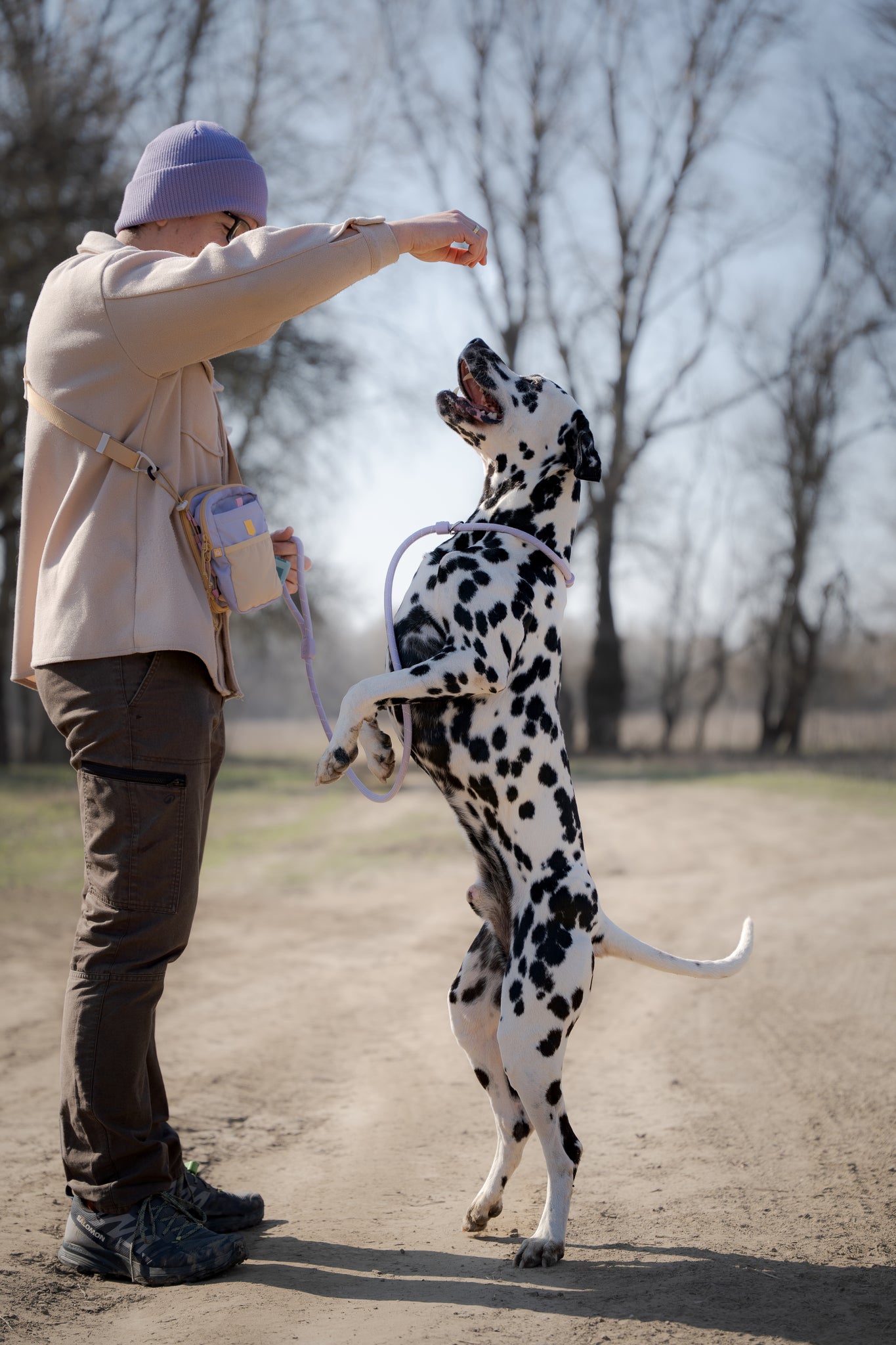 Person in a beanie gives a treat to a standing Dalmatian dog on a dirt path outdoors.