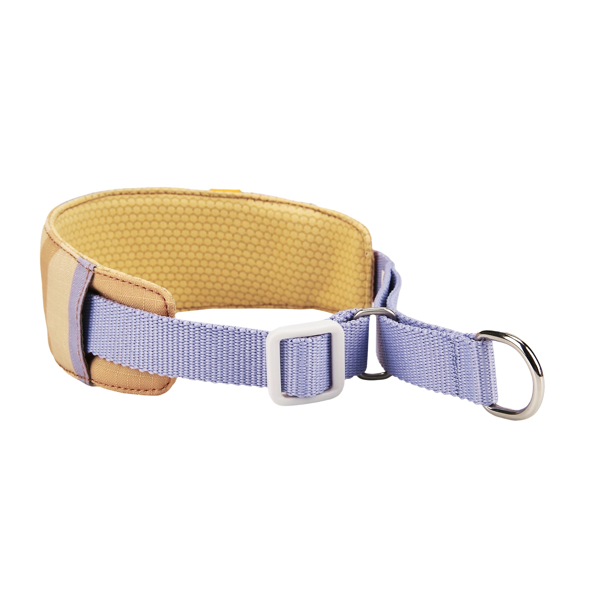 Purple and tan fabric dog collar with a metal D-ring and adjustable buckle, on a white background.