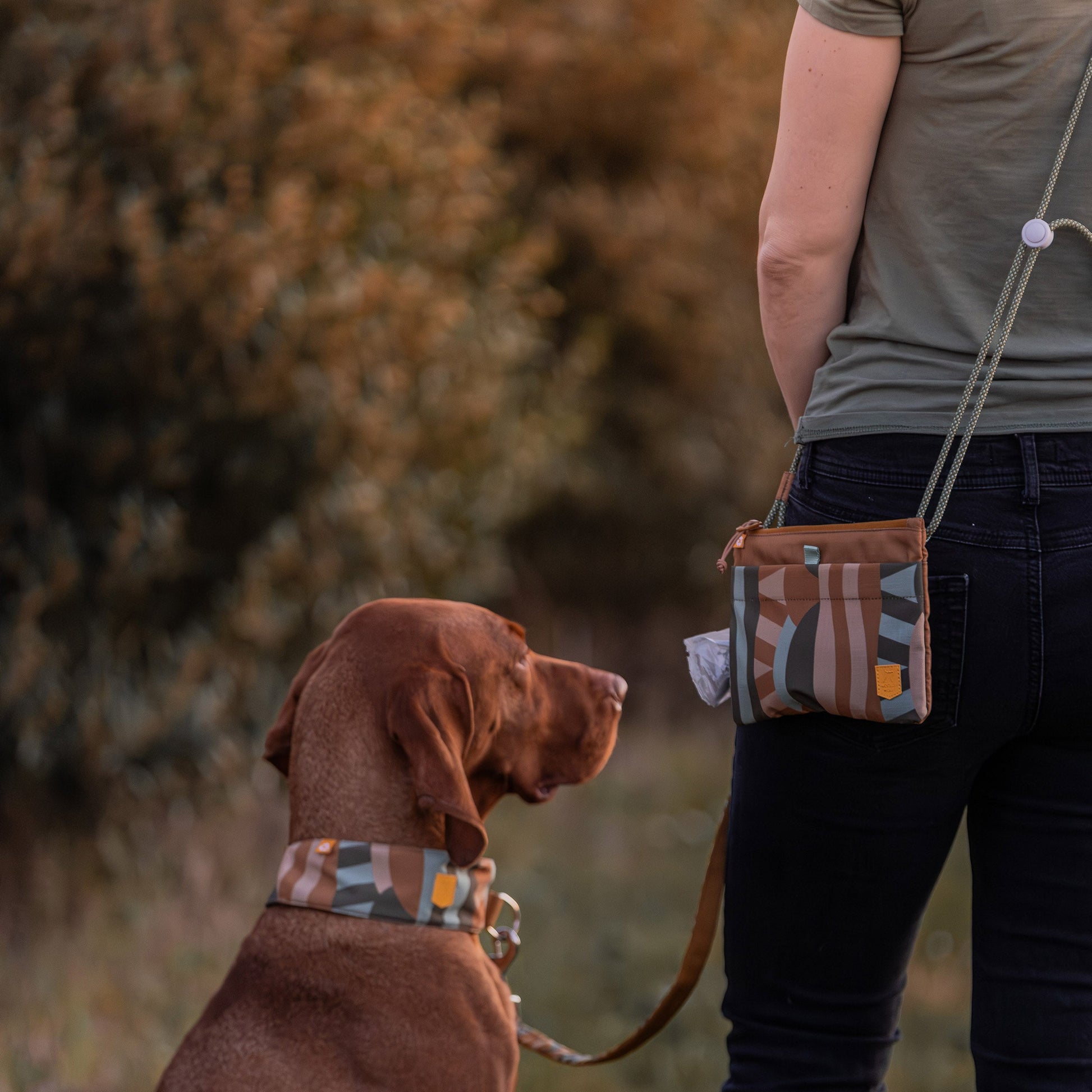 A dog and a person both wearing matching brown patterned accessories, standing outdoors.