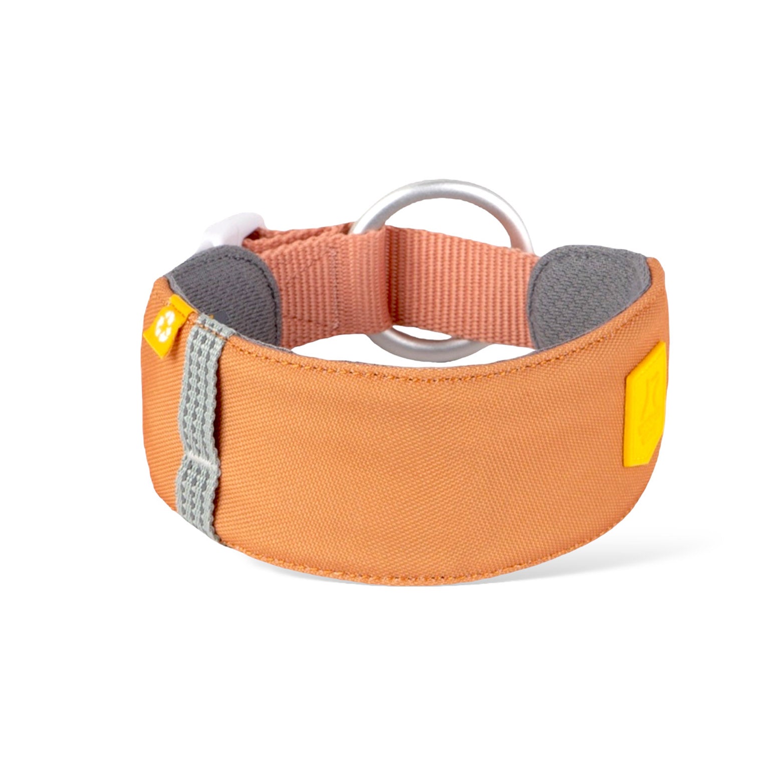 Alpha 360 Collar Golden Hour Mix - S