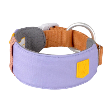 Wide lavender and tan dog collar with a large metal ring and buckle, shown on a white background.