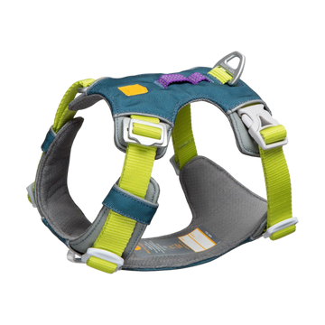 A teal and gray dog harness with bright yellow straps and white buckles, shown on a plain background.