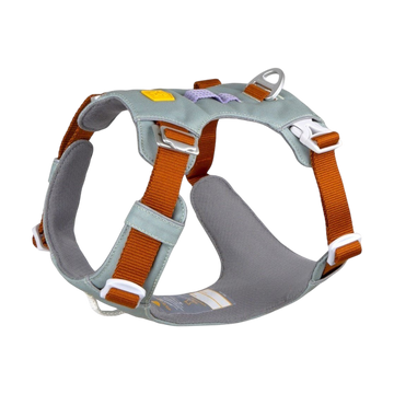 Gray and orange padded dog harness with adjustable straps, buckles, and a metal leash ring on top.