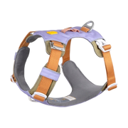 A purple and orange dog harness with adjustable straps and metal ring, displayed on a white background.