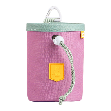 A purple fabric pouch with a green drawstring, mint lid, and a white carabiner clip attached on top.