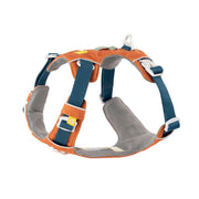 Orange and gray dog harness with blue straps, buckles, and padded sections for comfort and support.