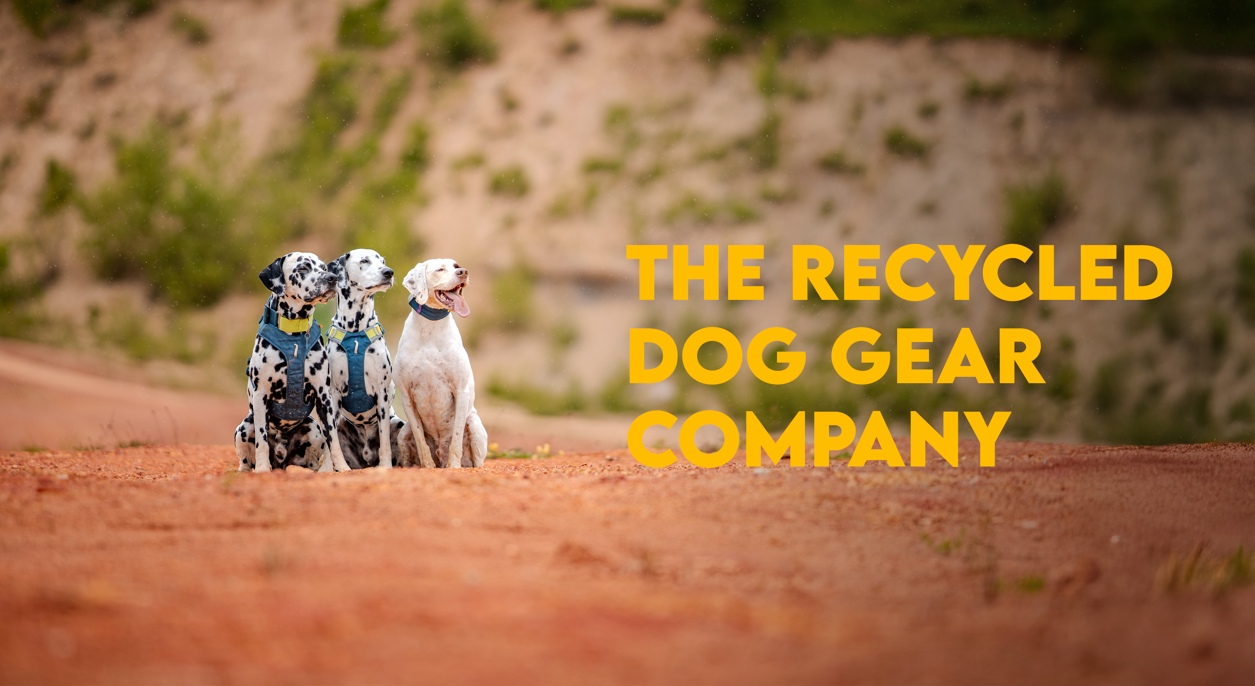 Three dogs sit on reddish ground outdoors with THE RECYCLED DOG GEAR COMPANY text in bold yellow letters.