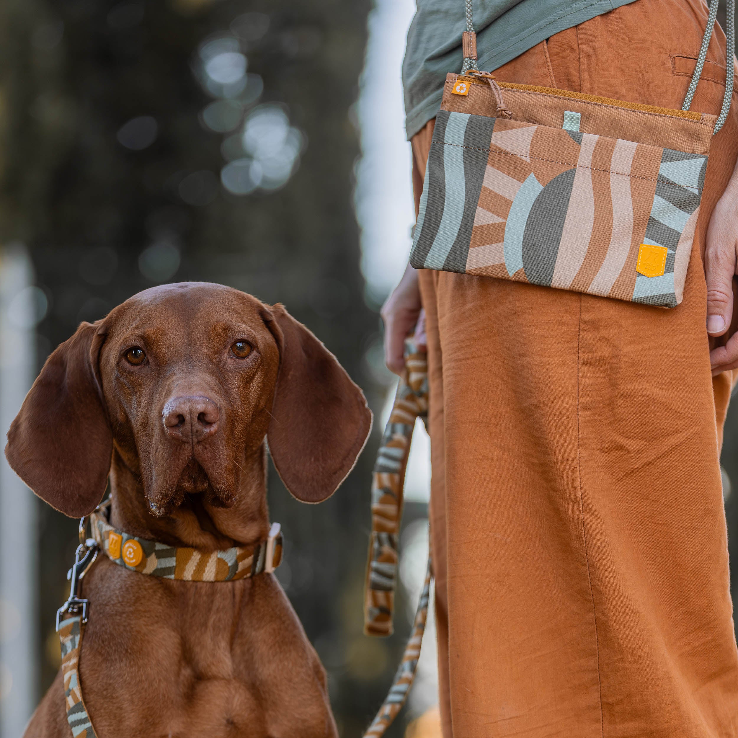 Brown dog wearing a patterned collar standing next to a person in orange pants with a matching bag and leash.