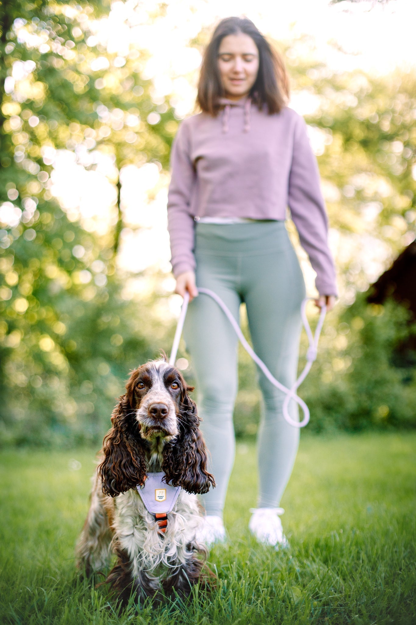 Color Block Dog Harness - XXSPink