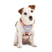 Color Block Dog Harness - XXSPink