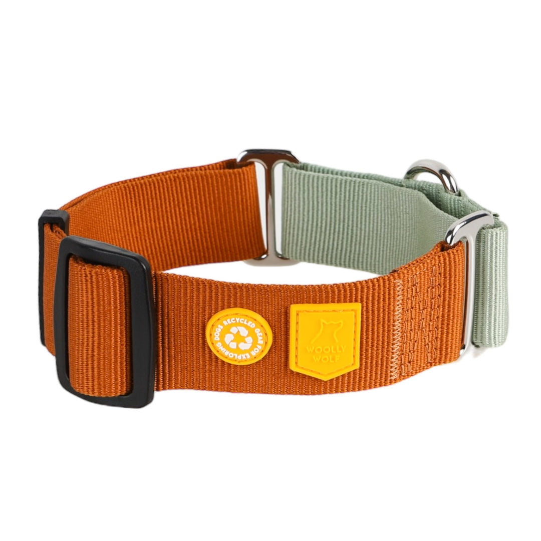 Color Block Martingale Collar Terracotta Mix - Terracotta MixS