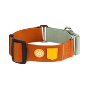 Orange and green adjustable dog collar with black buckle and two yellow patches.