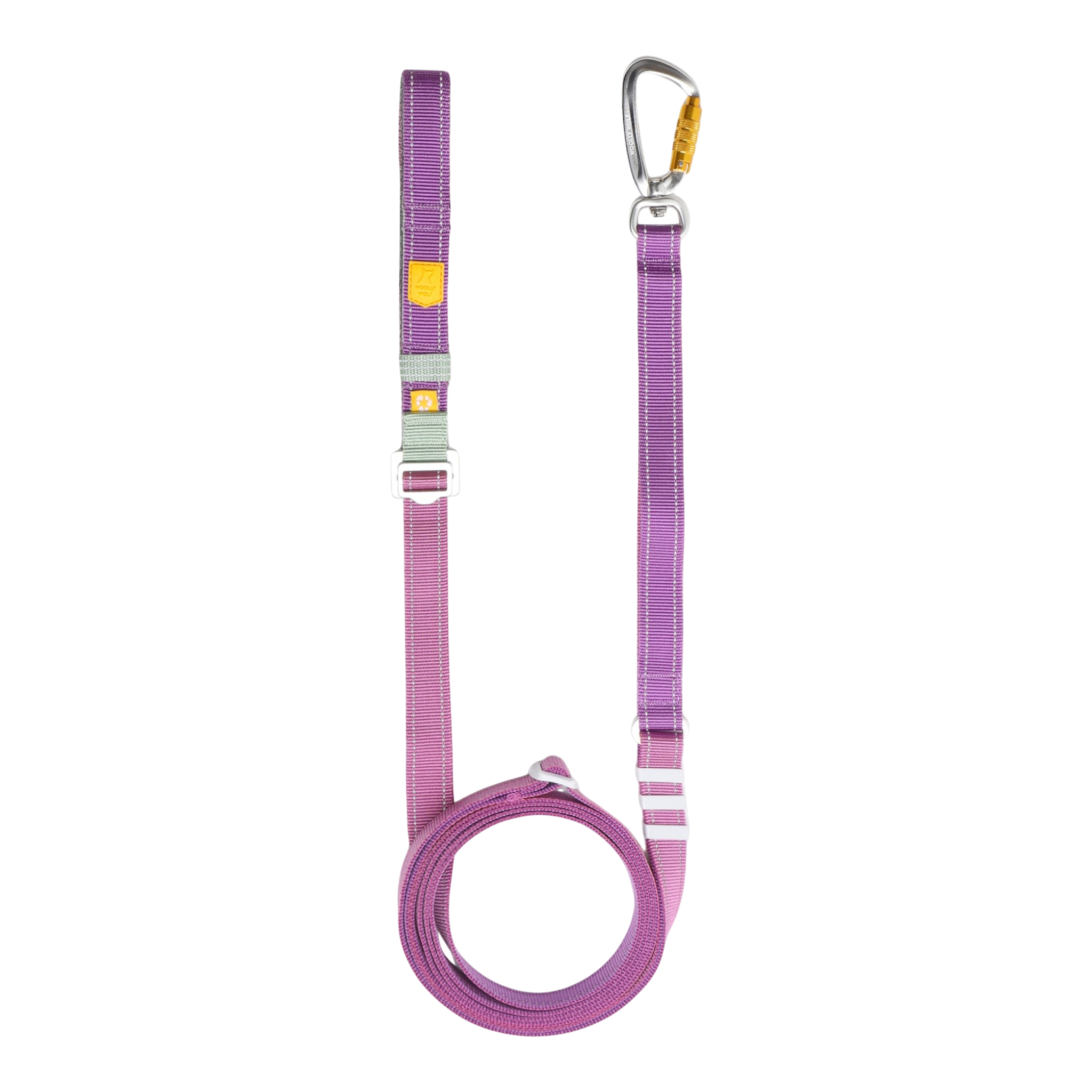 Purple adjustable dog leash with a metal carabiner clip and a coiled section on a white background.