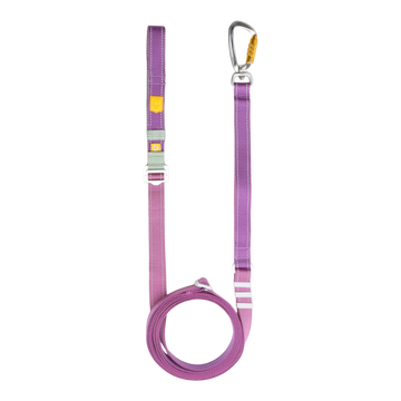 Purple adjustable dog leash with a metal carabiner clip and a coiled section on a white background.