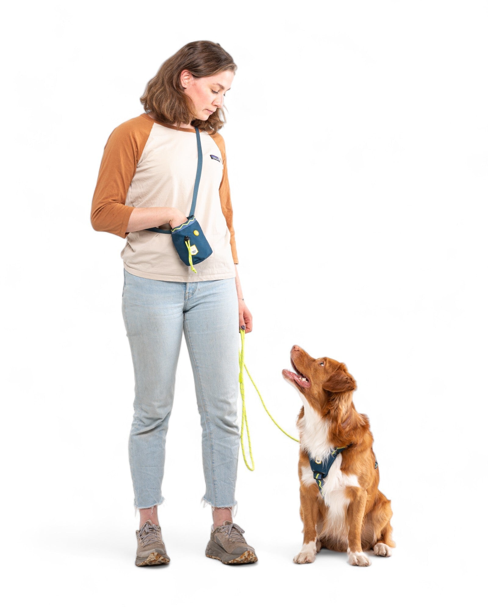 Horizon Dog Harness - XXS