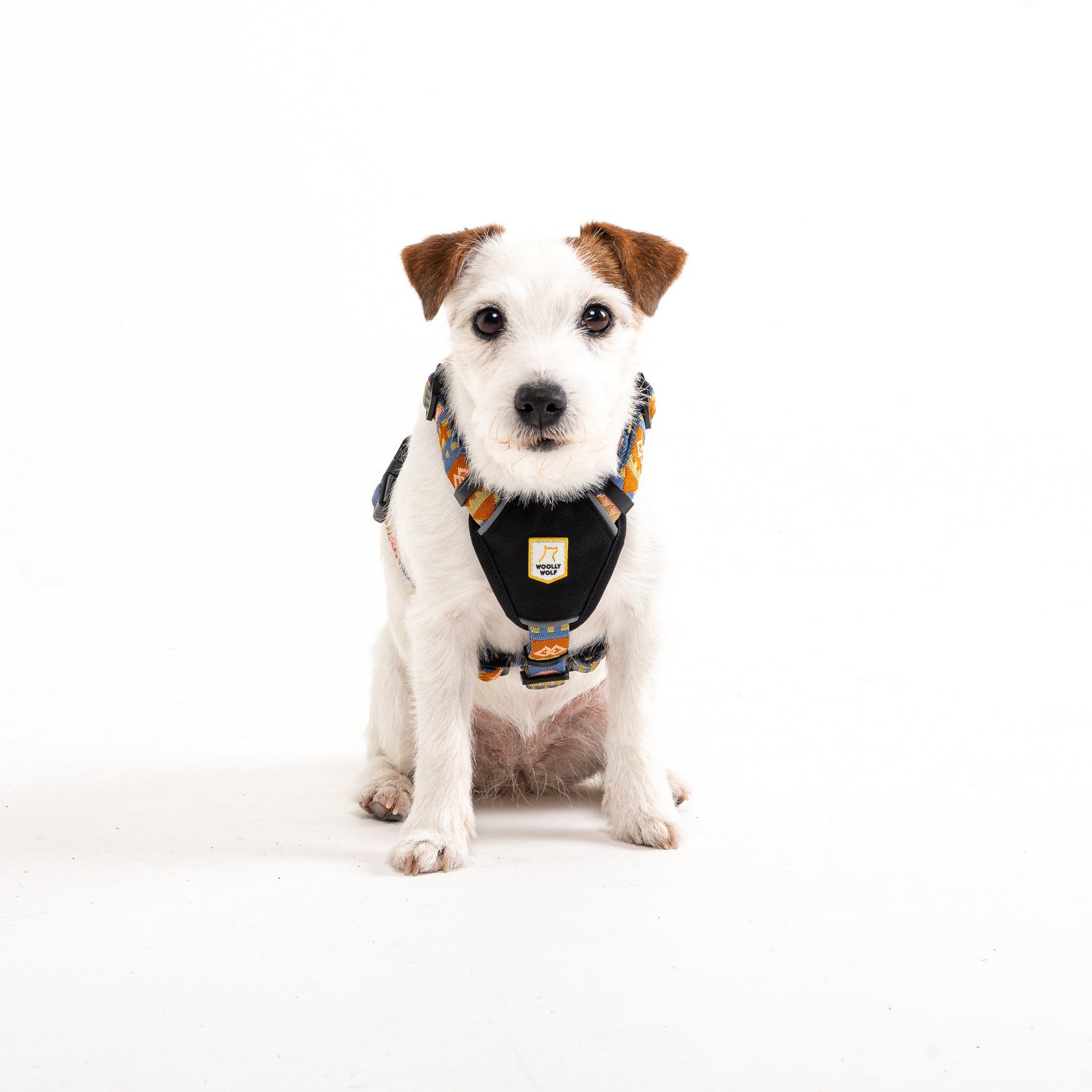Nightless Night Harness - XXS
